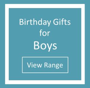 Birthday Gifts For Boys 3